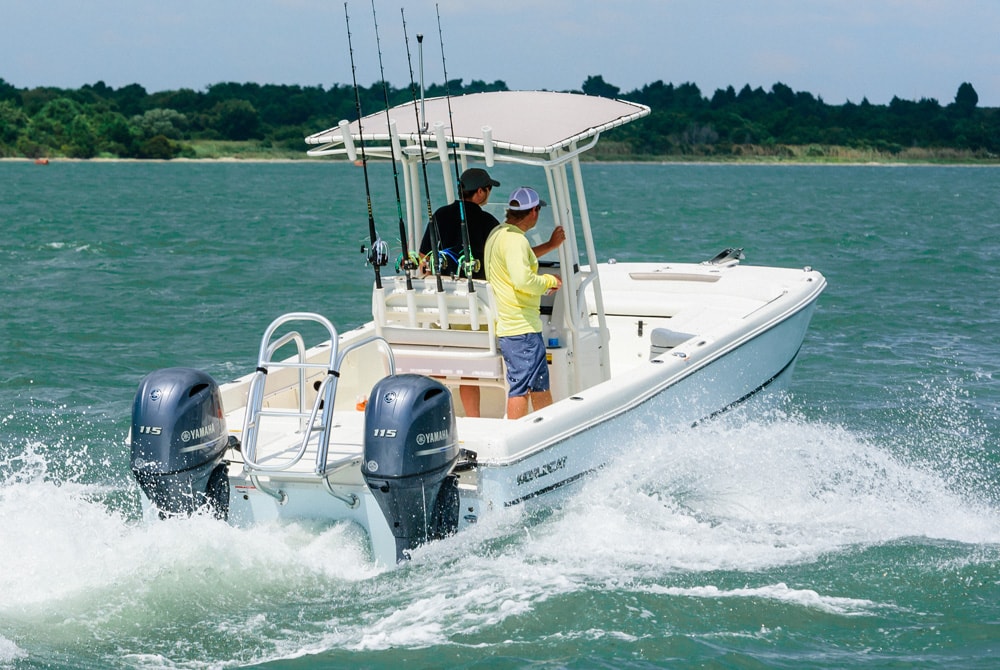 Lanchas De Pesca: Tipos, Titulaciones Y Consejos